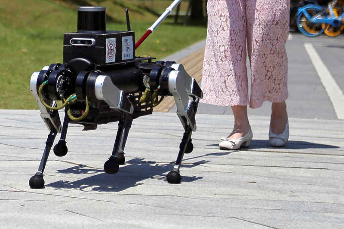 Robot 'guide dog' aims to improve independence for visually impaired